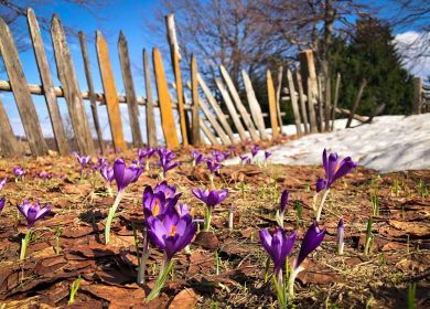 Embracing Spring in Moultonborough, NH
