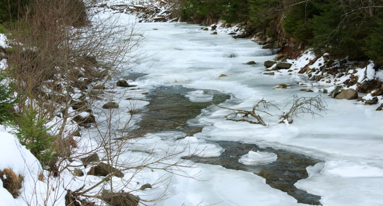 Spring on the Neck: Exploring Moultonborough’s Natural Waterways